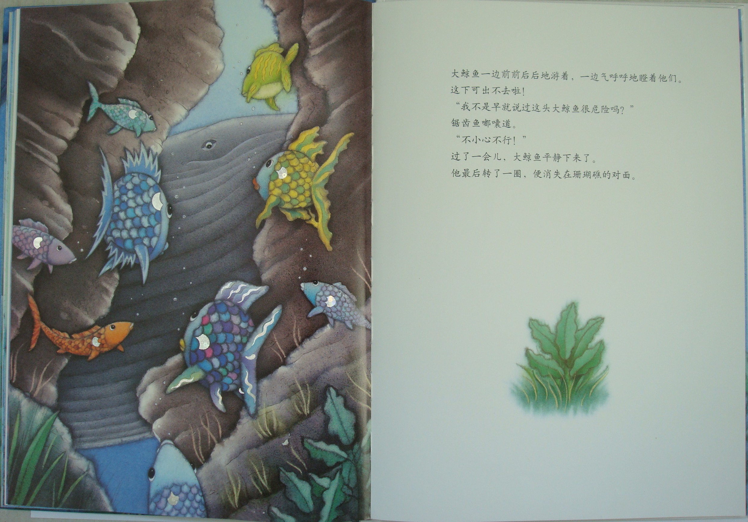 彩虹鱼和大鲸鱼 (09),绘本,绘本故事,绘本阅读,故事书,童书,图画书,课外阅读